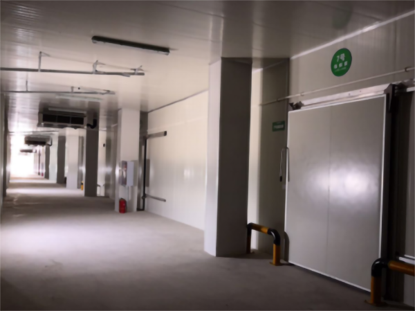 建一個5000立方香蕉冷藏冷庫大概要多少錢？