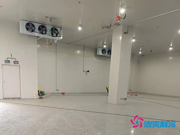 樹(shù)脂冷庫(kù)安裝造價(jià)