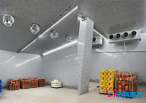 1000噸果蔬保鮮庫造價揭秘,節省成本就靠這幾點!