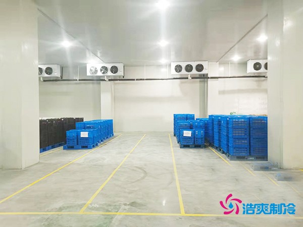 建造一個2000噸海鮮冷庫的預算分析