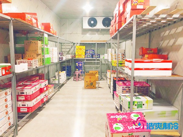 5噸水果需要多大冷庫？答案出乎意料！