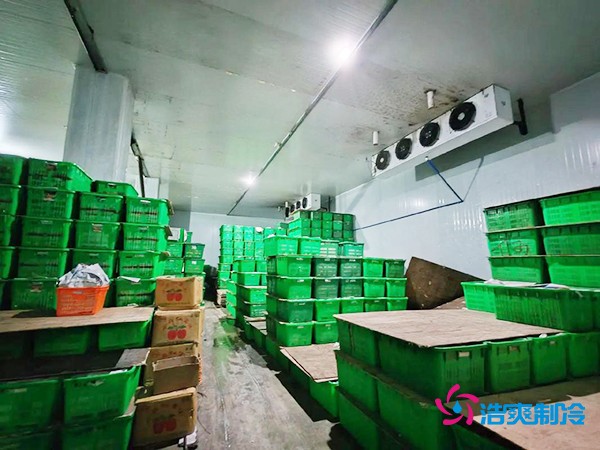 水果保鮮冷庫建造價格每平米多少錢？