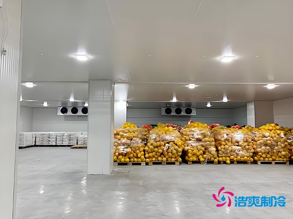 20噸玉米如何長期保鮮？冷庫造價大揭秘！