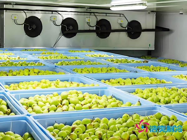 氣調保鮮冷庫造價