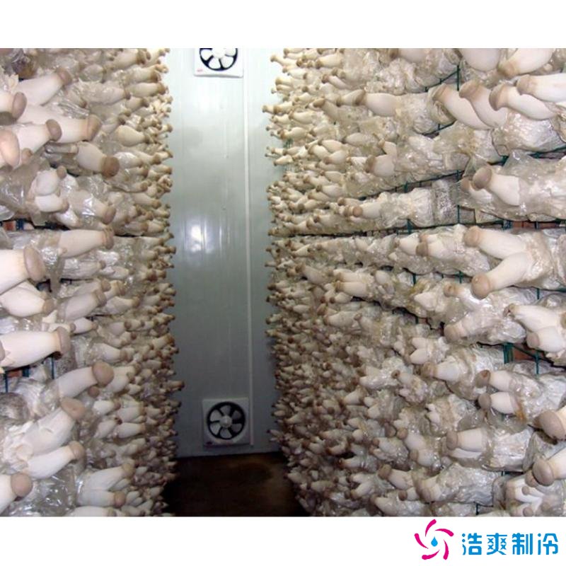 蘑菇冷庫建造成本多少錢,蘑菇冷藏方法哪些