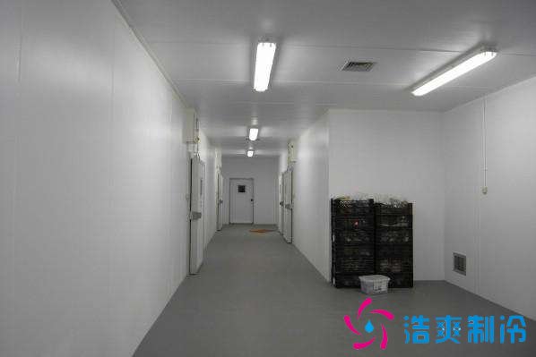 預(yù)建1000噸果蔬冷庫設(shè)計規(guī)劃，冷庫價格多少錢