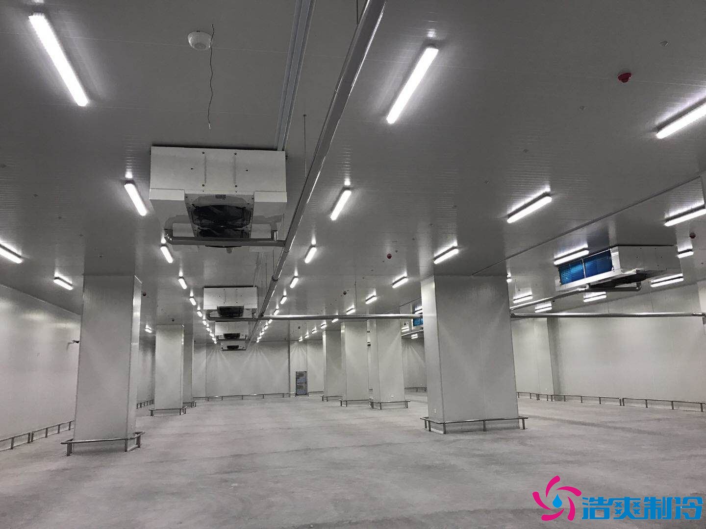 20000平米進出口冷鏈物流冷庫(海鮮低溫倉庫)冷庫造價預算