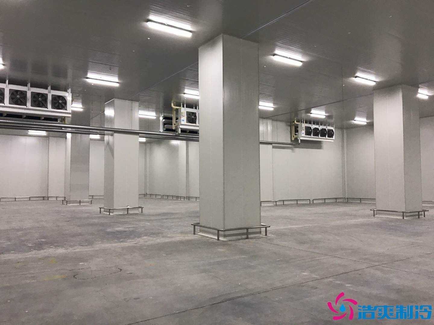 10000平米大型海鮮冷庫(水產冷凍庫)冷庫建造方案