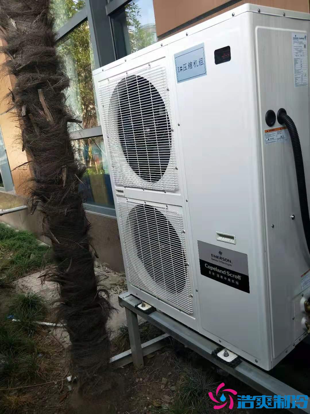 上海基因生物1000m3生物制品冷庫(冷凍、冷藏)新建工程案例