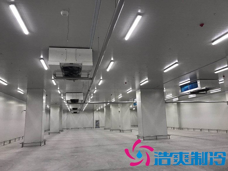 港口冷鏈冷庫市場趨勢和現狀，萬噸港口冷鏈低溫倉儲造價預算