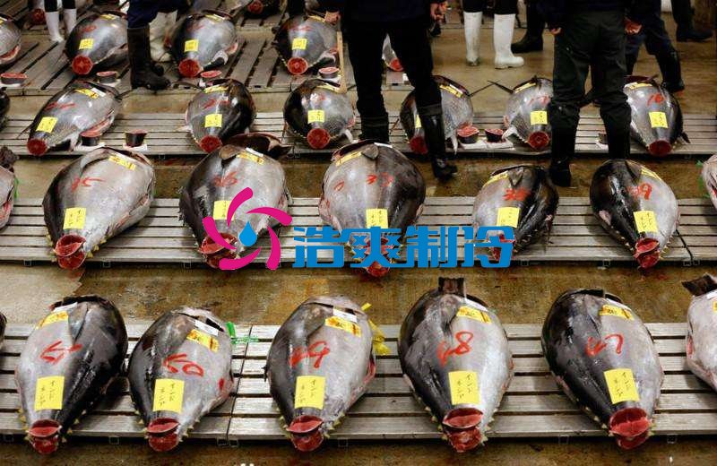 浩爽制冷，金槍魚冷庫，超低溫冷凍庫